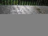 image of grave number 446679